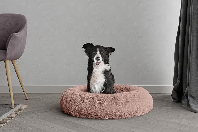 Italian Bed Linen Cama para Mascotas Dreams Sogni e Capricci Pets, poliéster Suave, Rosa, 70x70cm