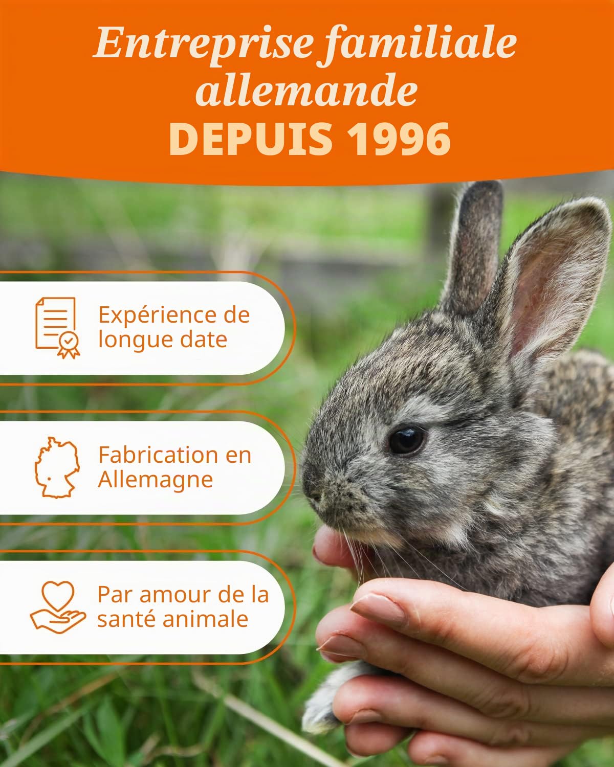 petifool Aliments complémentaires pour rongeurs Mélange d'automne coloré - Nourriture Naturelle et Saine pour Lapins - 650 g