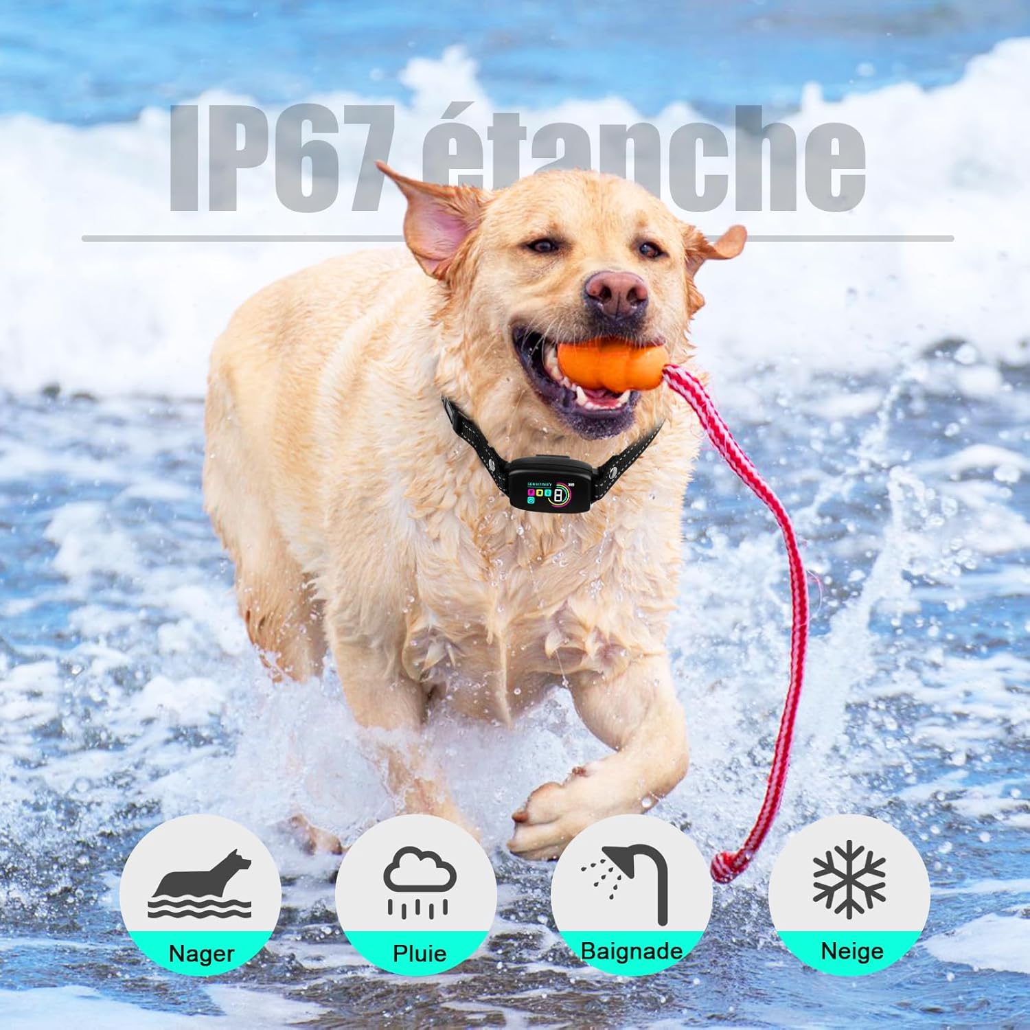 Conseils d’utilisation du collier anti aboiement