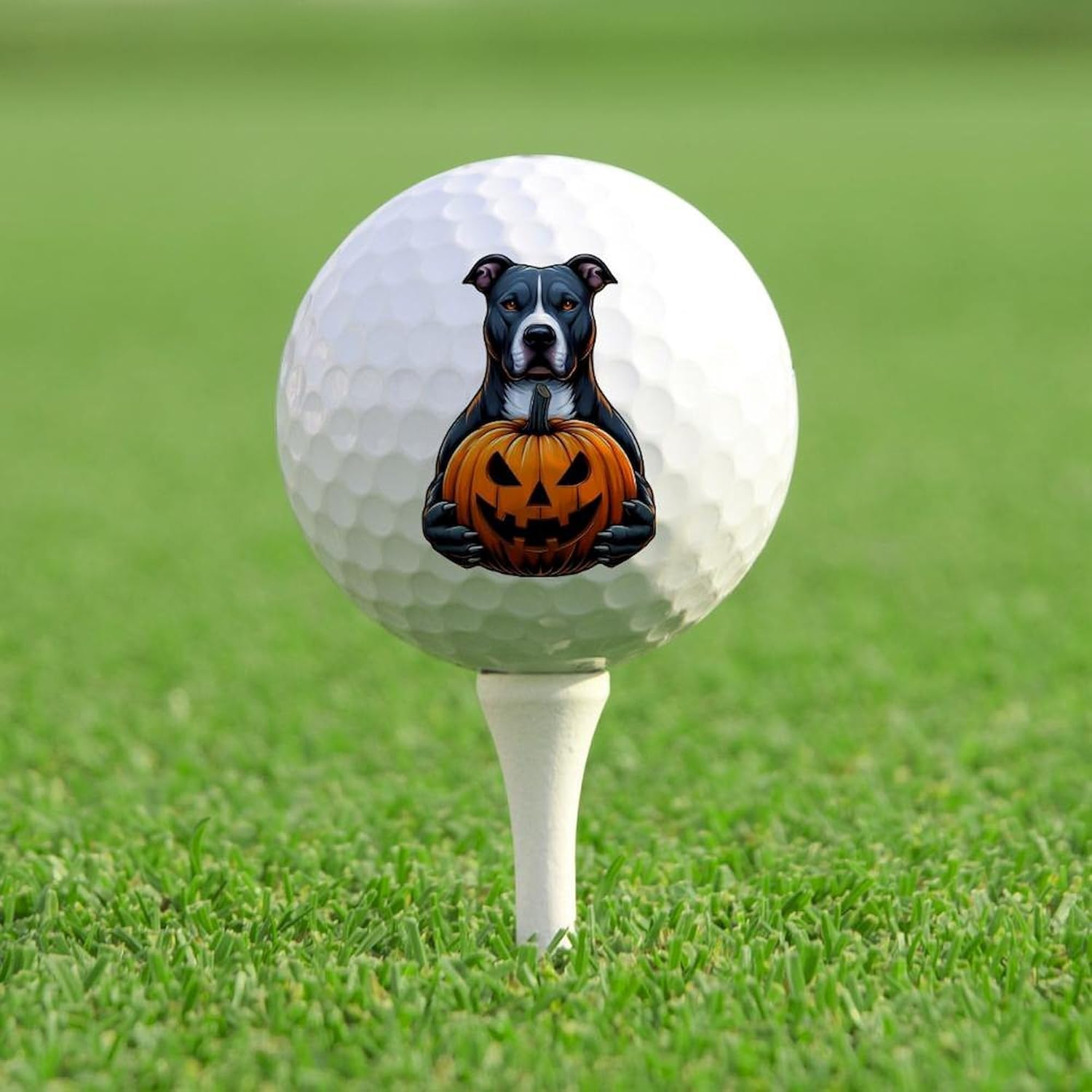 CafePress Pitbull Halloween Holding Jack O Lantern Novelty Golf Balls (Pk of 12)