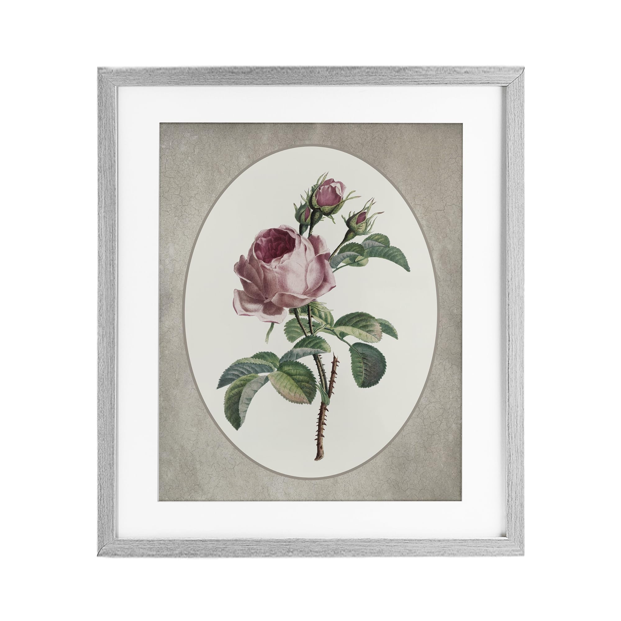 Affiche encadrée vintage rose 21 x 17 Stupell Industries cadre gris ovale