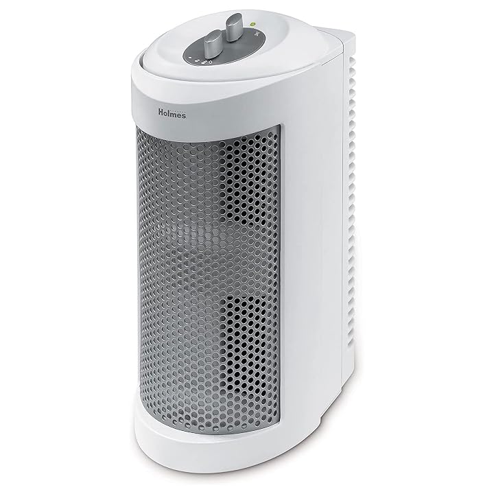 Holmes True HEPA Allergen Remover Mini