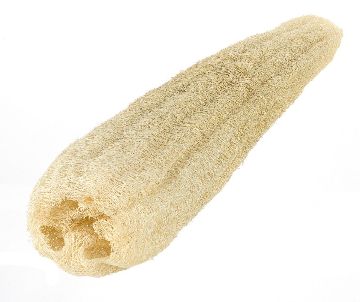 Raw Egyptian Luffa (loofah) Exfoliate, Detoxify with the Most Natural Loofah