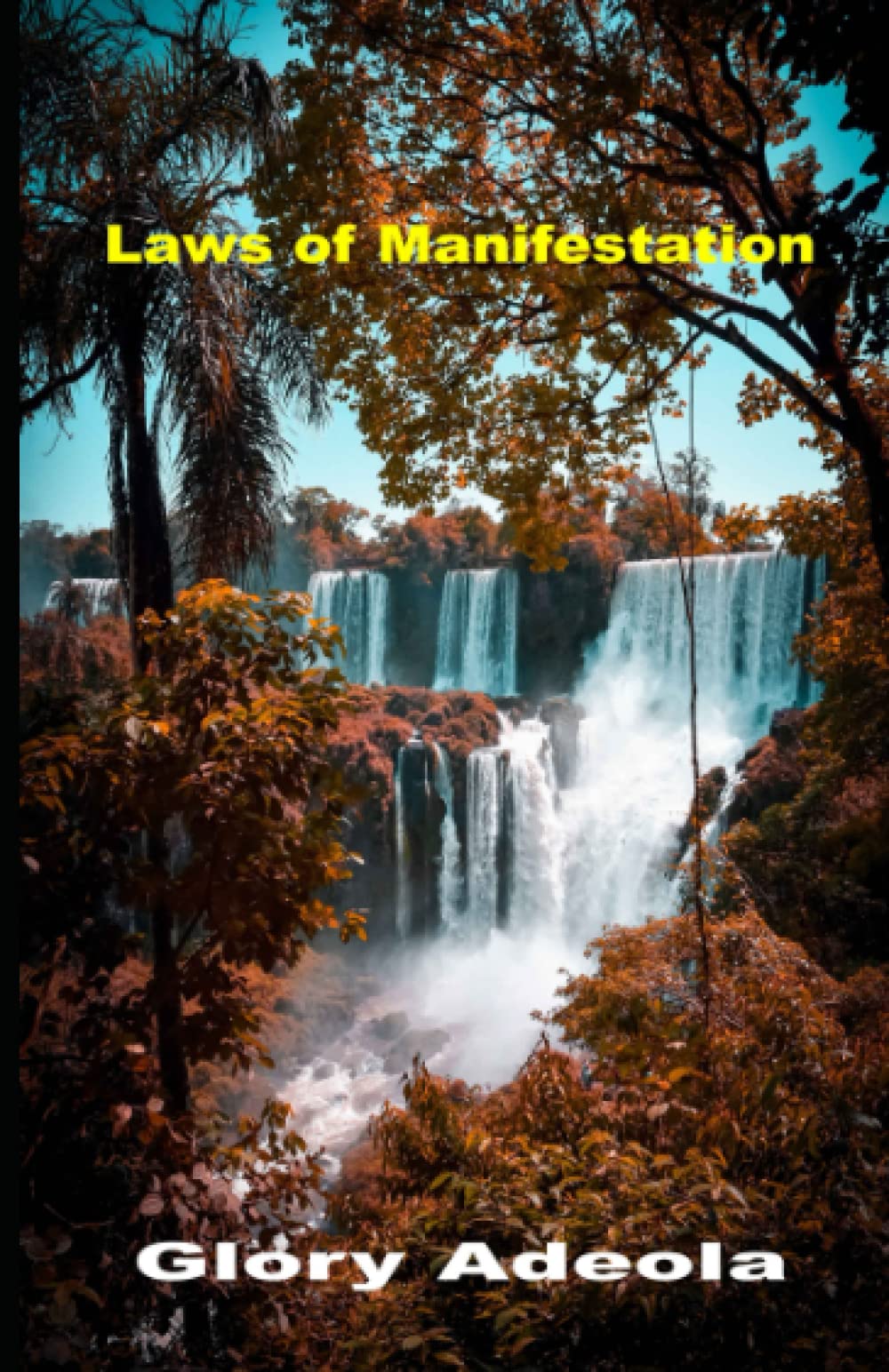 LAWS OF MANIFESTATION: HOW TO GET YOUR MIRACLE