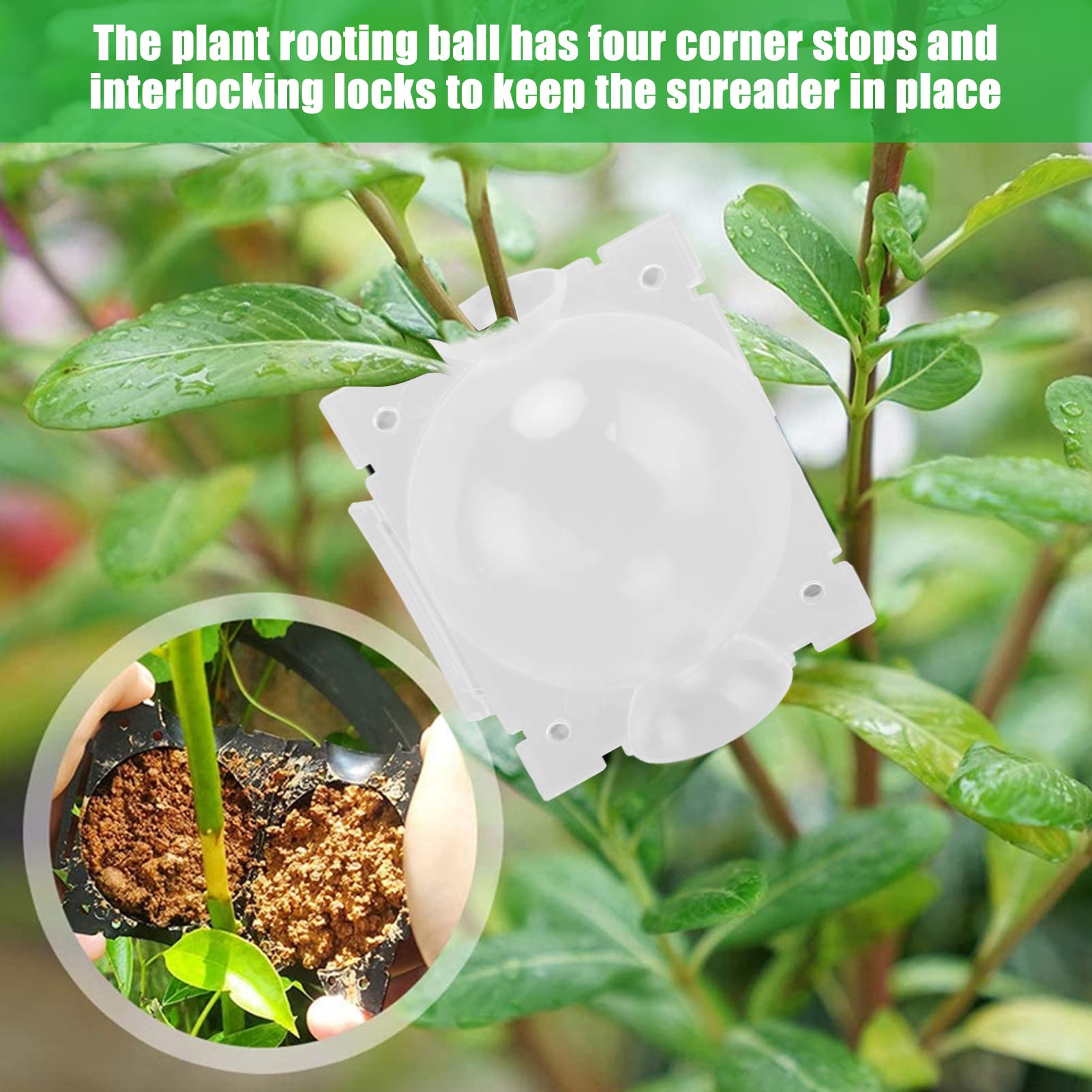 Plant Root Growing Box, Rooting Ball, Securely Lock Branches, Sturdy Plant Root Incubator for Roses, Trees, Fruit Trees, Magnolia and Camellia, with Corner Stops, Interlocking