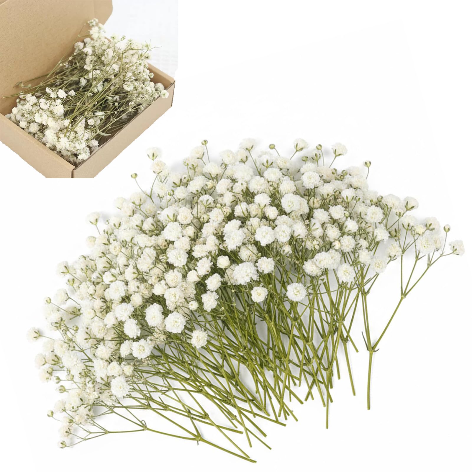 HUANYO 100 PCS Gypsophila Dried Flowers, Natural Baby's Breath for Resin Jewelry Making, DIY Craft Supplies for Home Decor, Wedding Card Making & Flower Arrangements(white 100PCS)