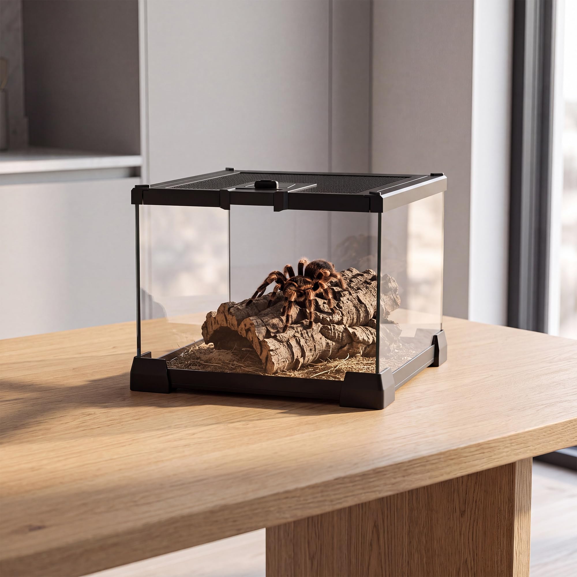 Mini szklany zbiornik terrarium 20 cm x 20 cm x 15 cm z otwieraną od góry pokrywą siatkową, przejrzysty widok 360°, wentylowana obudowa dla ptaszników, skaczących pająków, izopodów, żab i