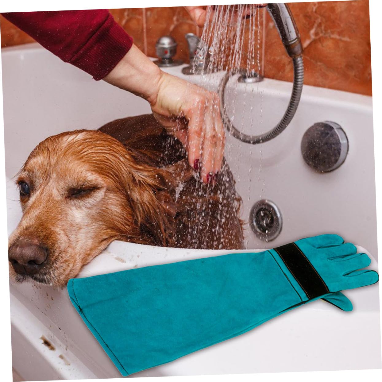 YARNOW Guanti Antimorso in Similpelle per Cani e Gatti Protettivi AntiGraffio per Toelettatura Manipolazione Animale Alimentazione Blu Cuciture Protettive