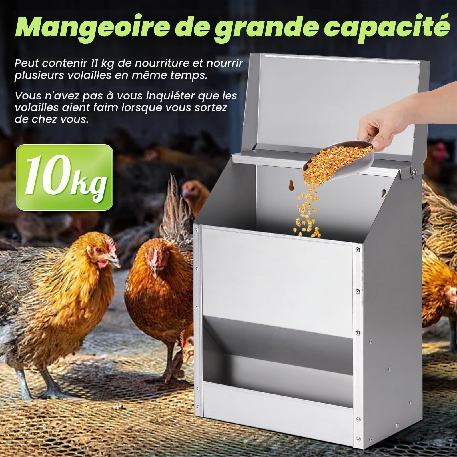 Mangeoire Automatique pour Poulets, Mangeoire Suspendue en Acier Inoxydable de 10 Kg avec Abreuvoir pour Poulets, sans DéChets, Mangeoire pour Poulailler ExtéRieur pour Canards, Oies