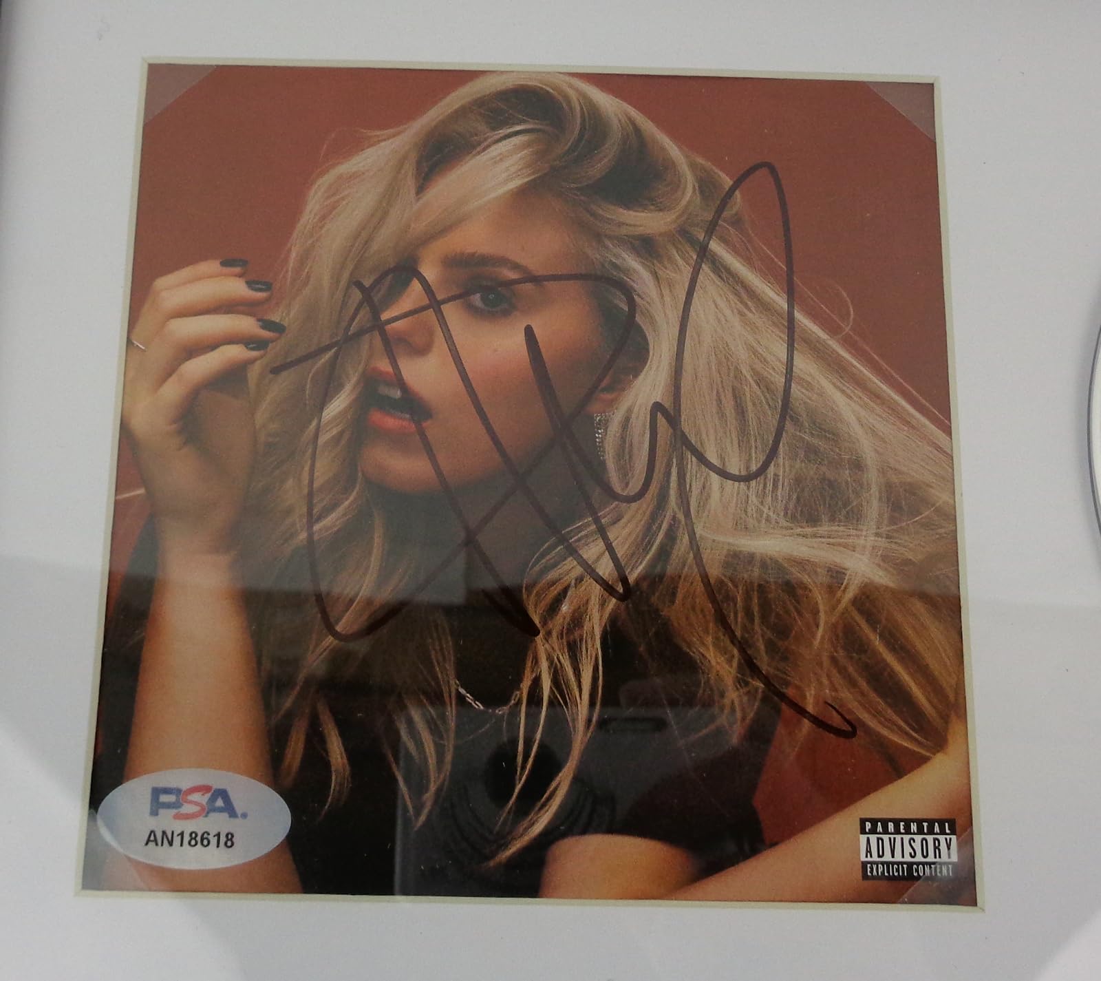 Everything To Everyone CD Signed Autographed by Renee Rapp Framed