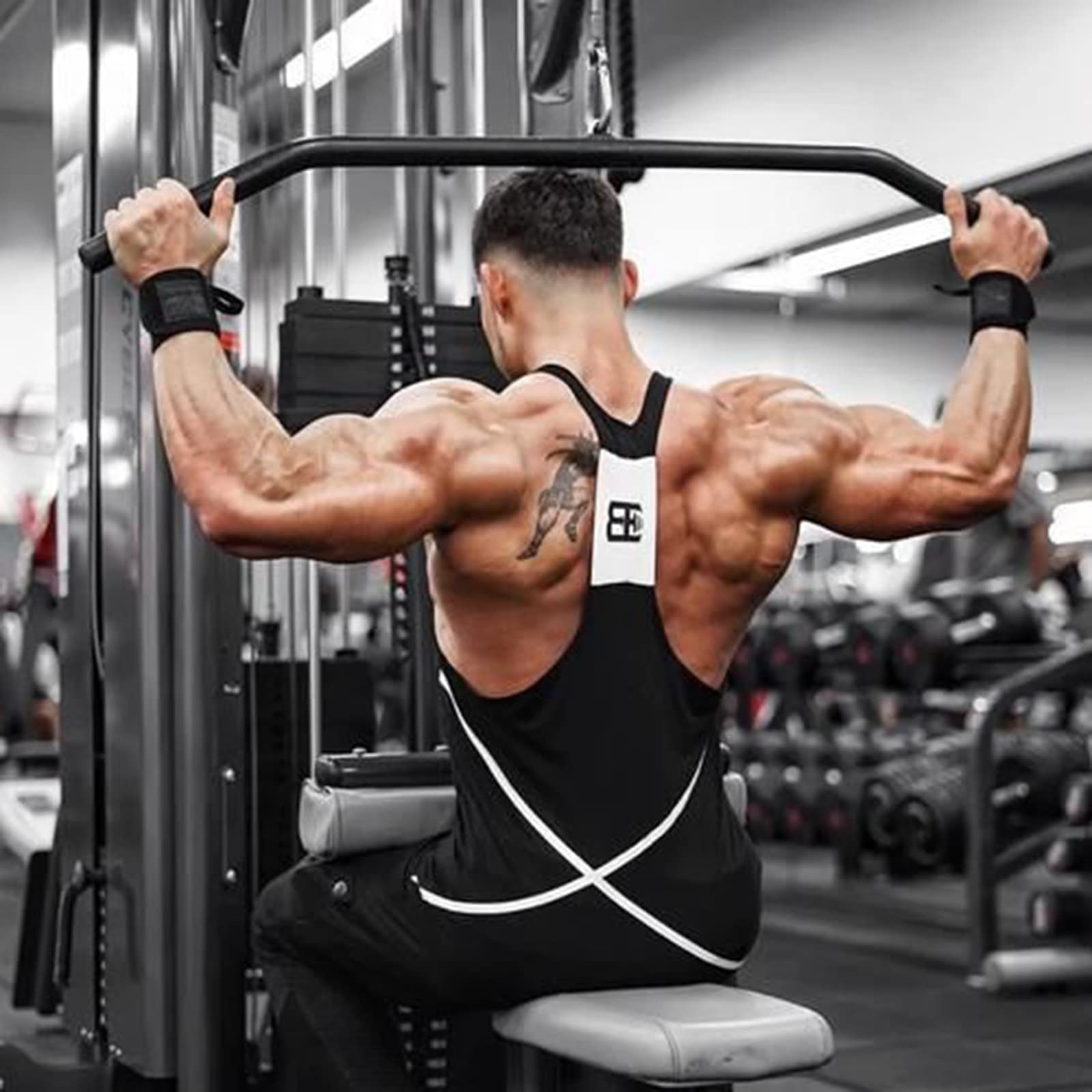 Amazon.co.jp: 二頭筋 三頭筋 筋肉 トレーナー ラットプルダウン