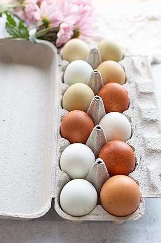 Miniatura 8 de Cartón de pulpa de papel plano en blanco de 12 huevos - Cartones de huevos a granel (25)