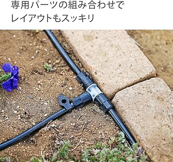 71n9ukW6QkL._AC_UF350,