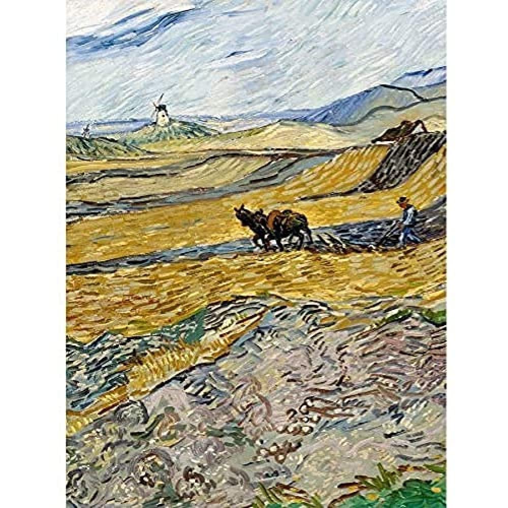Van Gogh Enclosed Field Ploughman Painting Art Print Canvas Premium Wall Decor Poster Mural