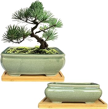 MUZHI 2pcs Green Ceramic Bonsai Planter Pots with Bamboo Tray 6.2 & 5.3, Rectangular Glazed Bonsai & Succulent Cactus Starter Pot with Drainage Ice Crack Design