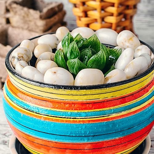 Miniatura 6 de Wohohoho - Rocas de jardín