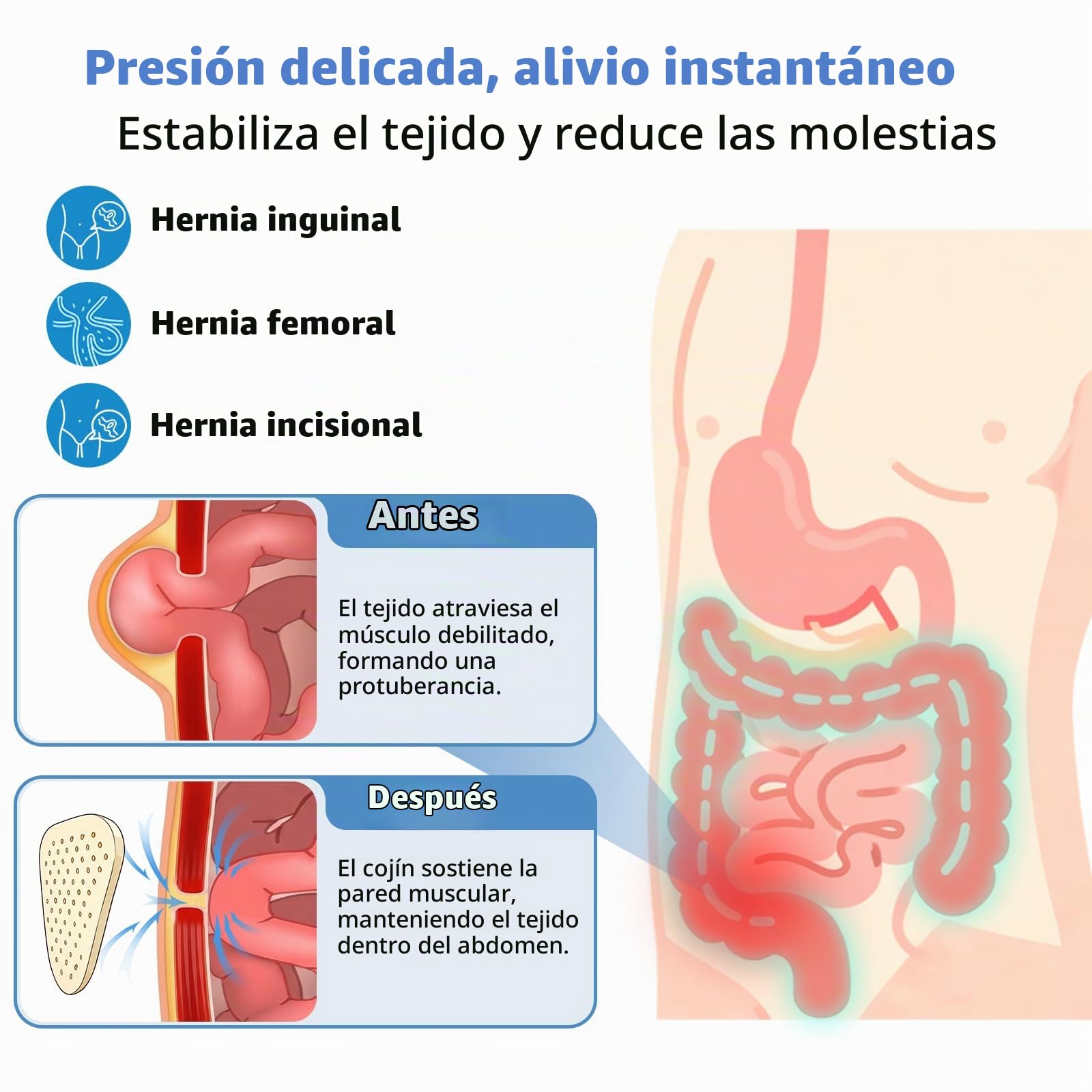 Tenbon Cinturón Soporte Hernia Inguinal Hombre Mujer - Braguero Postoperatorio/Preoperatorio Universal con Almohadillas Extraíbles, Alivia Dolor Ingle Izquierdo/Derecho, Correa Ajustable (Large)