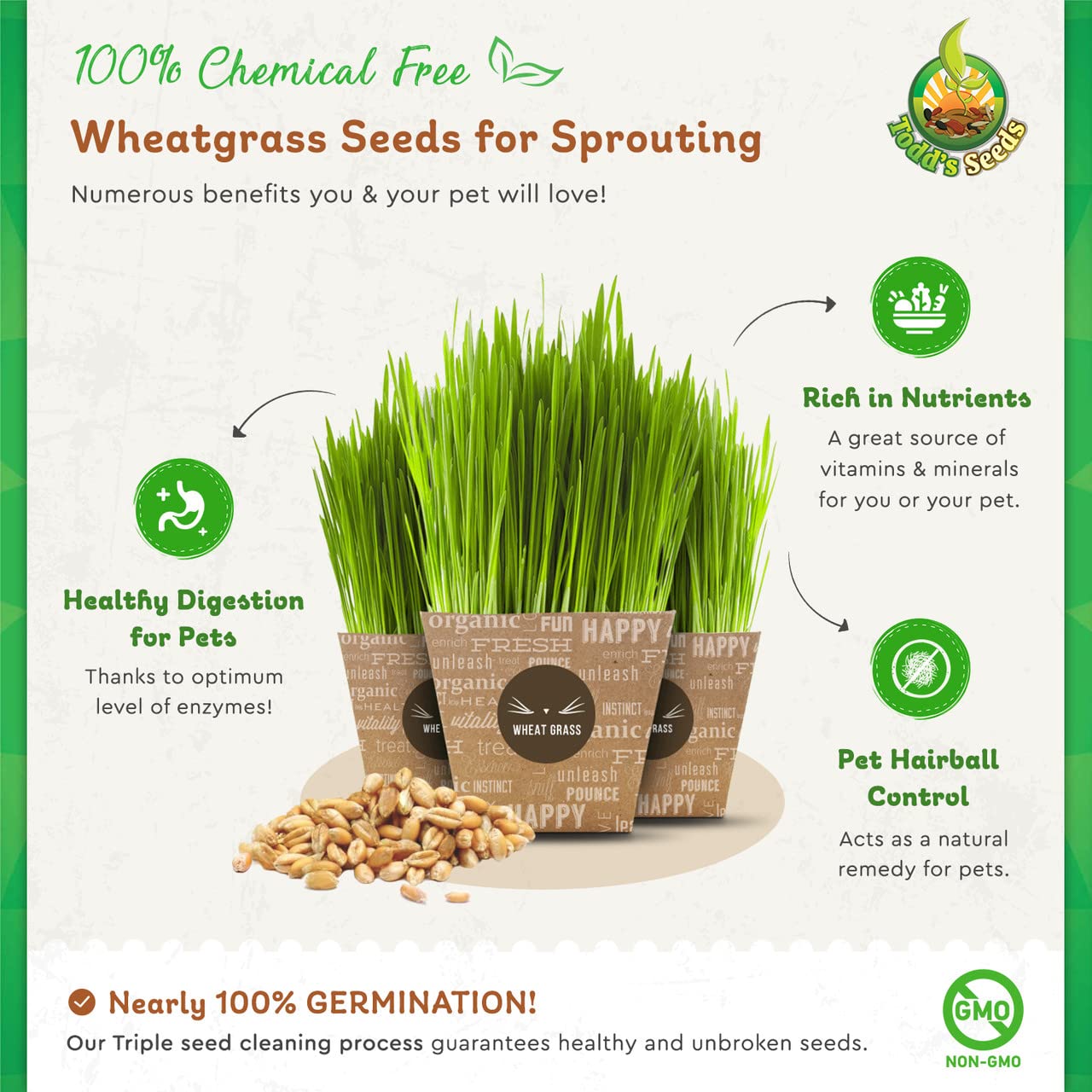 Todd's Seeds - Hard Red Wheatgrass - 5 Lb's - Sprouting Wheat Grass Seeds for Sale - Plant & Grow Wheatgrass, Flour, Grain & Bread - Wheatgrass Juice - Excellent Germination - Sprouting Seeds - Sprouted Wheat