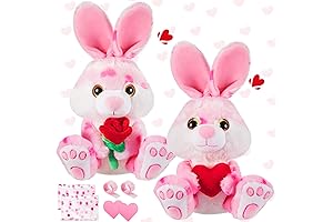 Shappy Valentine's Day Plush Bunny