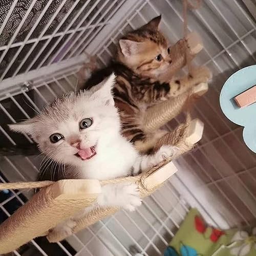 Miniatura 5 de Árbol para gatos al aire libre con puente de escalada de pared y escalera de cuerda, cuerda de cáñamo de 20 pulgadas, muebles de pared para gatos