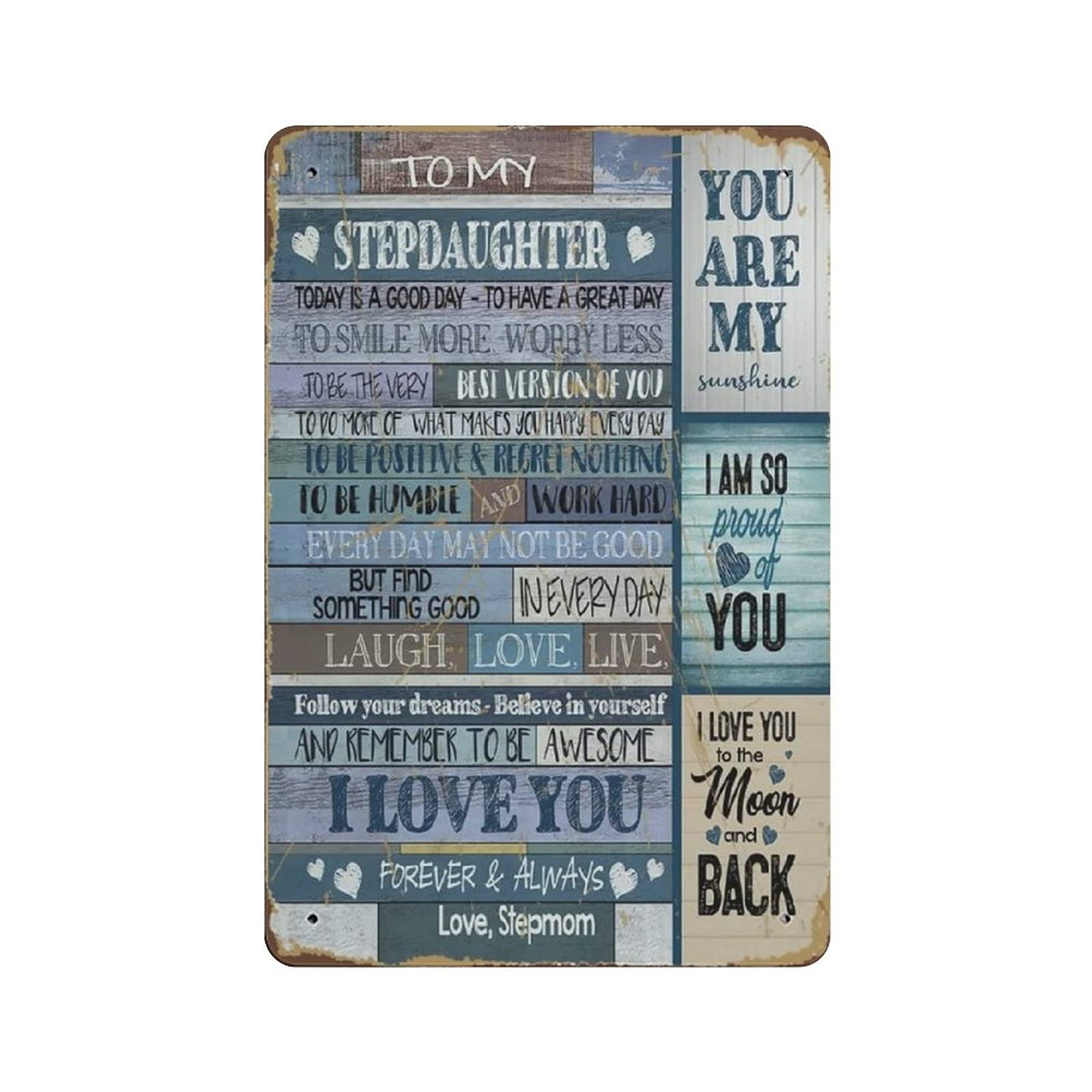 Metal Tin Sign To My Stepdaughter Today Is A Good Day Vintage Tin Poster Metal Sign Wall Decoration Country Kitchen Home Garage Decor 12"x8"