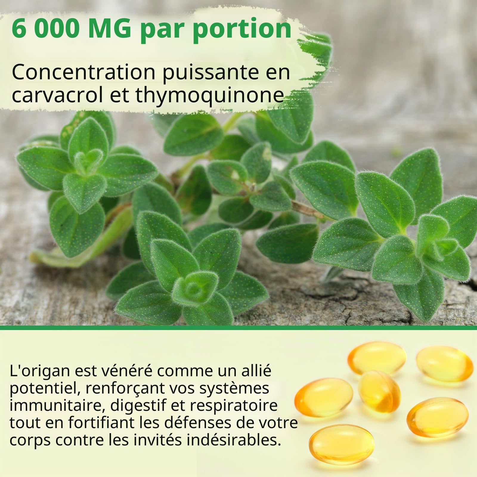 Oil of Oregano, Huile d Origan et Nigelle, Huile d'origan 2 en 1 (6000 mg) avec Huile de Nigelle (200 mg),Carvacrol (165 mg),Biologique, Sans OGM,Favorise la Santé Immunitaire et Digestive,240 Gélules