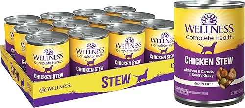 Wellness Complete Health Stews Alimento húmedo natural para perros cortes tiernos en salsa lata de 125 onzas paquete de 12