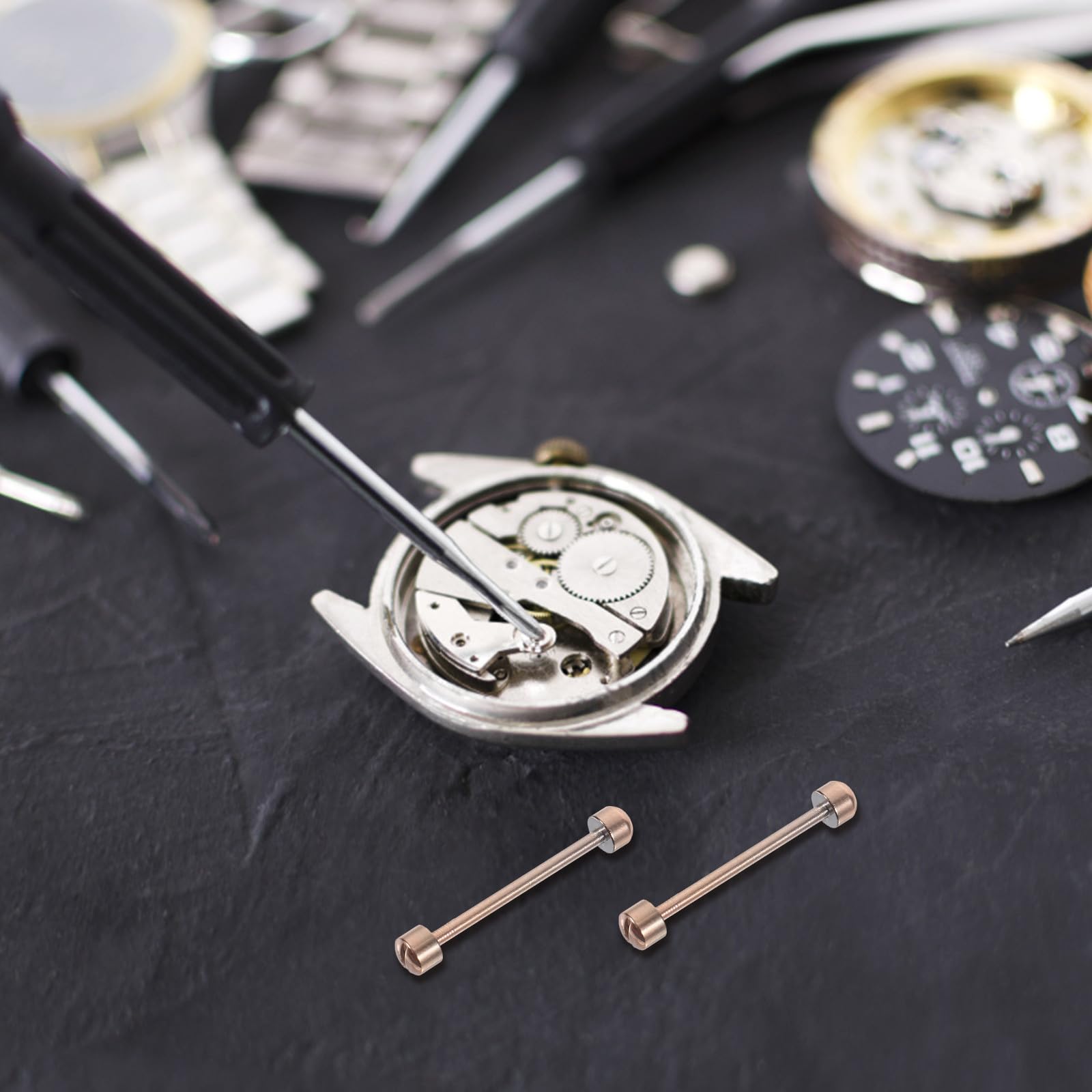 Cabilock Tige de Vis Facile à Installer Bracelet de Montre pour Acier Inoxydable Argenté Maintient la Boucle Connectée, Outil pour Horlogers et Bijoutiers