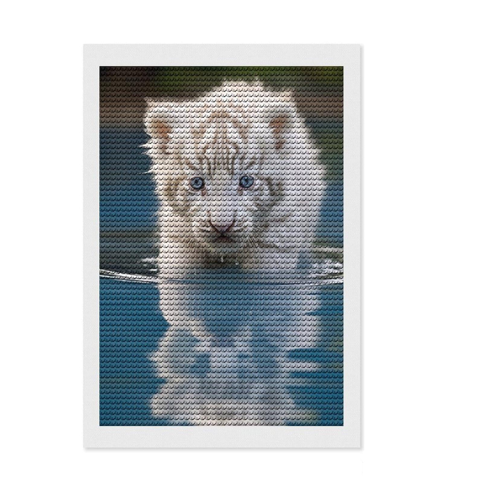 Junmoney Cute Baby Tiger Full Drill Diamond Painting Kit 8"x12", Boho Decor, Aesthetic Room Decor, Bedroom Decor, Fun Craft Activity