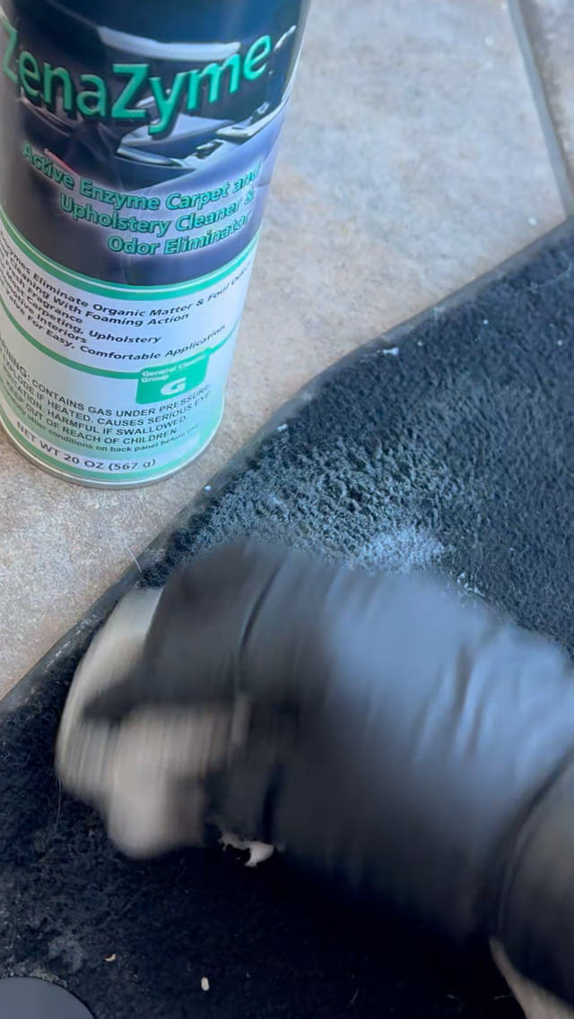 Amazon.com: Zenex ZenaZyme Active Enzyme Carpet & Upholstery
