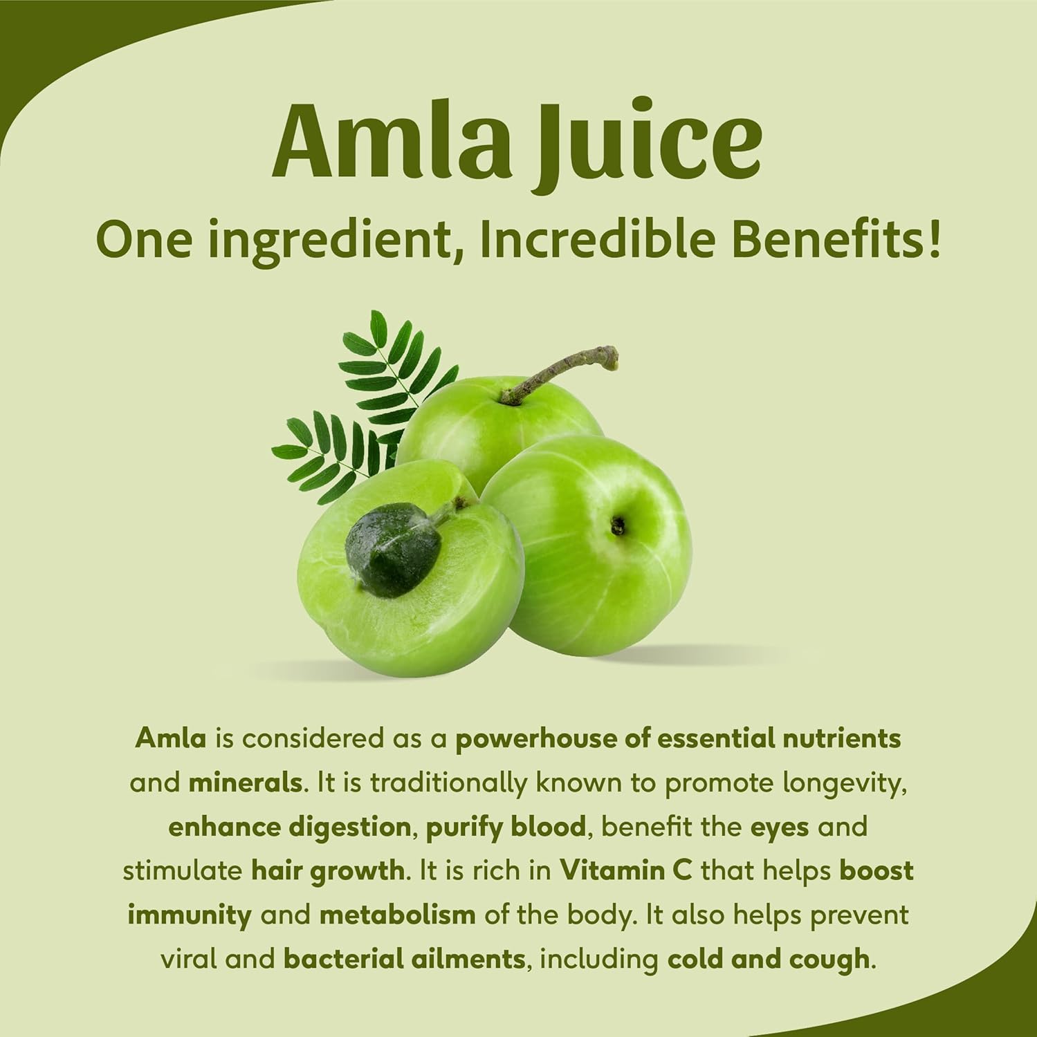 Sri Sri Tattva Shuddhta Ka Naam | Amla Juice | Herbal & Pure | Rich in Vitamin C | Naturally boosts Immunity 1 L Each (Pack of 2)