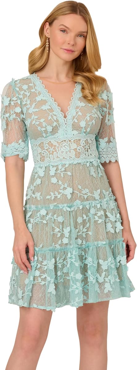 Adrianna Papell Lace Embroidery Dress