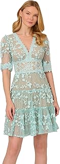 Adrianna Papell Lace Embroidery Dress
