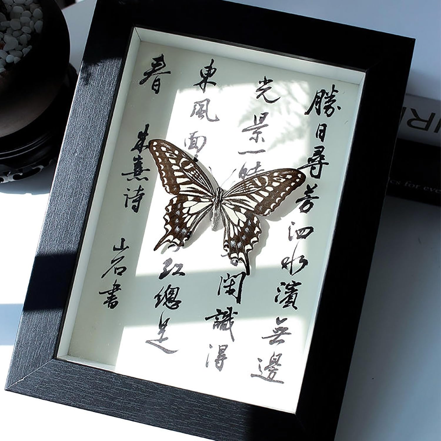 Butterfly Taxidermy Shadow Box Handmade Wood Shadow Box Insect Frame for Butterfly Collectors Home Decor Insect Bug(E)