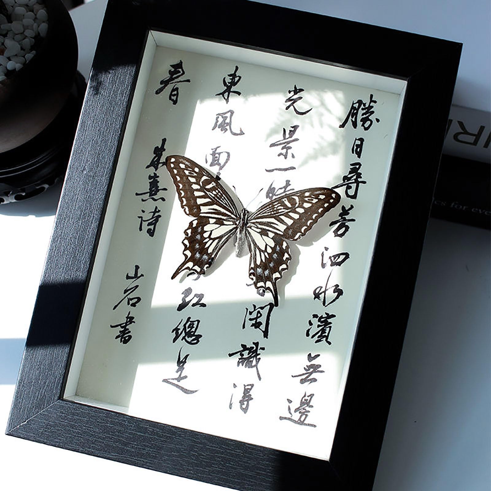 Real Mariposa Taxidermia Marco De Madera Negro Elegante Hecho A Mano(C)