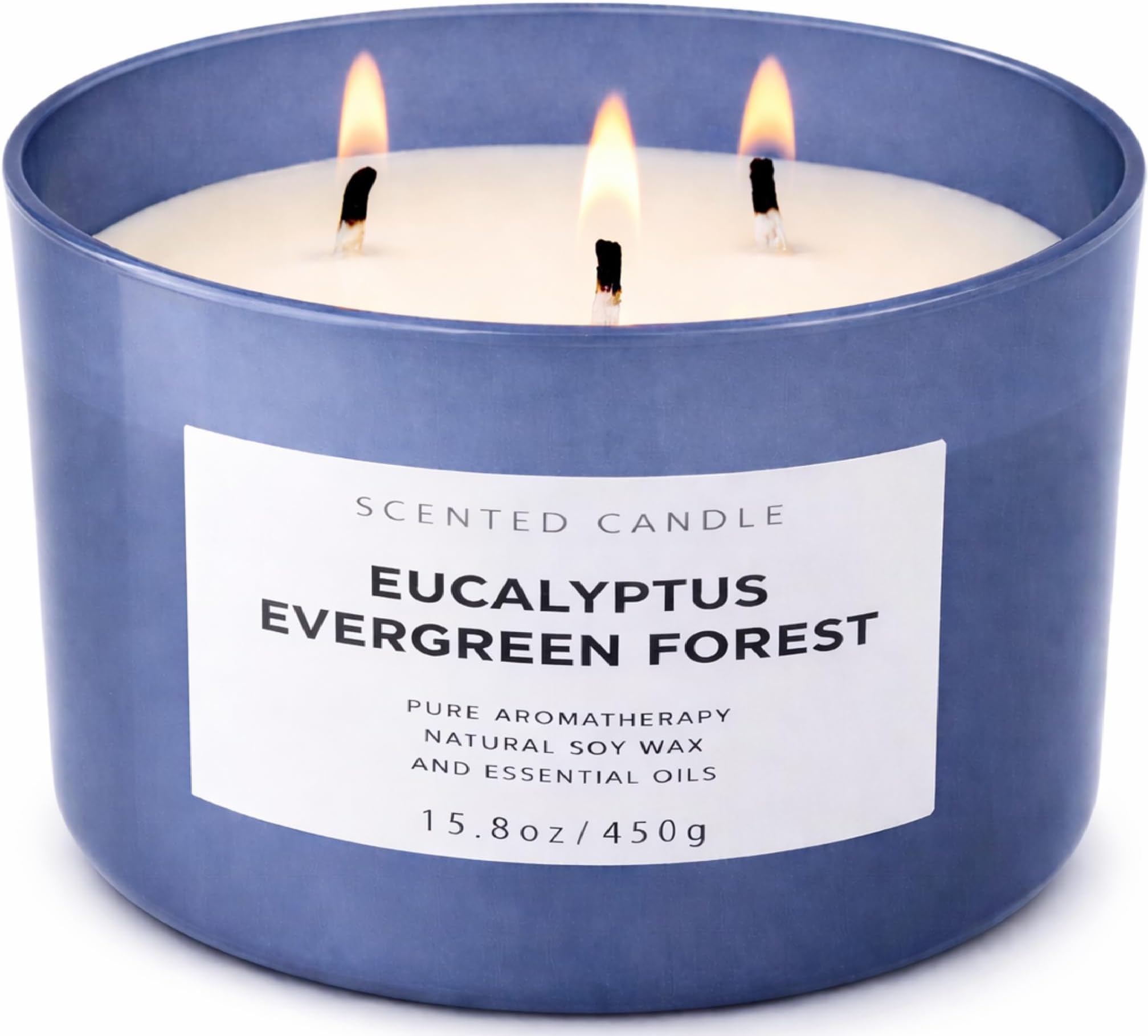 Eucalyptus Evergreen Forest 3-Wick Soy Candle | 15.8 oz Large Scented Candle for Home | Clean Burn Long Lasting | Balsam Fir Fresh Forest Scent | Gift Ready