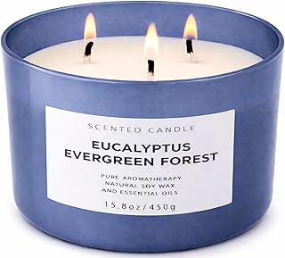 Eucalyptus Evergreen Forest 3-Wick Soy Candle, 15.8 oz | Winter Pine, Balsam Fir & Evergreen Scented Candle | Woodsy Aromatherapy Candle for Home | Clean Burn, Long-Lasting