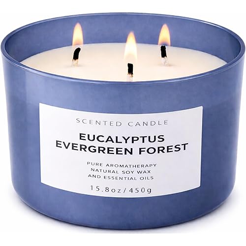 Eucalyptus Evergreen Forest 3-Wick Soy Candle, 15.8 oz | Winter Pine, Balsam Fir & Evergreen Scented Candle | Woodsy Aromatherapy Candle for Home | Clean Burn, Long-Lasting