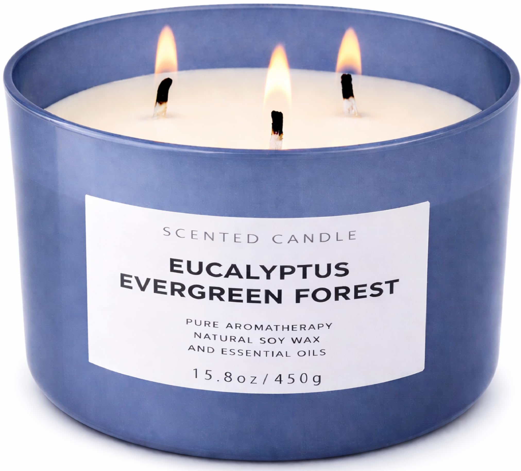 Eucalyptus Evergreen Forest 3-Wick Soy Candle, 15.8 oz | Winter Pine, Balsam Fir & Evergreen Scented Candle | Woodsy Aromatherapy Candle for Home | Clean Burn, Long-Lasting