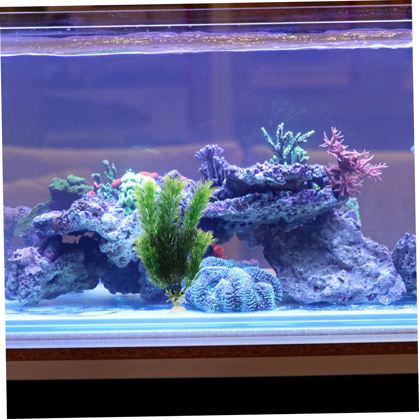 Sosoport 4 Sätze Aquarium Landschaftsbau Wasserpflanzen Gefälschte Blumen Aquarienschmuck Kunststoffpflanze Aquariumpflanzen Lebendige Kunstpflanze Aquarienpflanze Plastik 6 Stück * 4