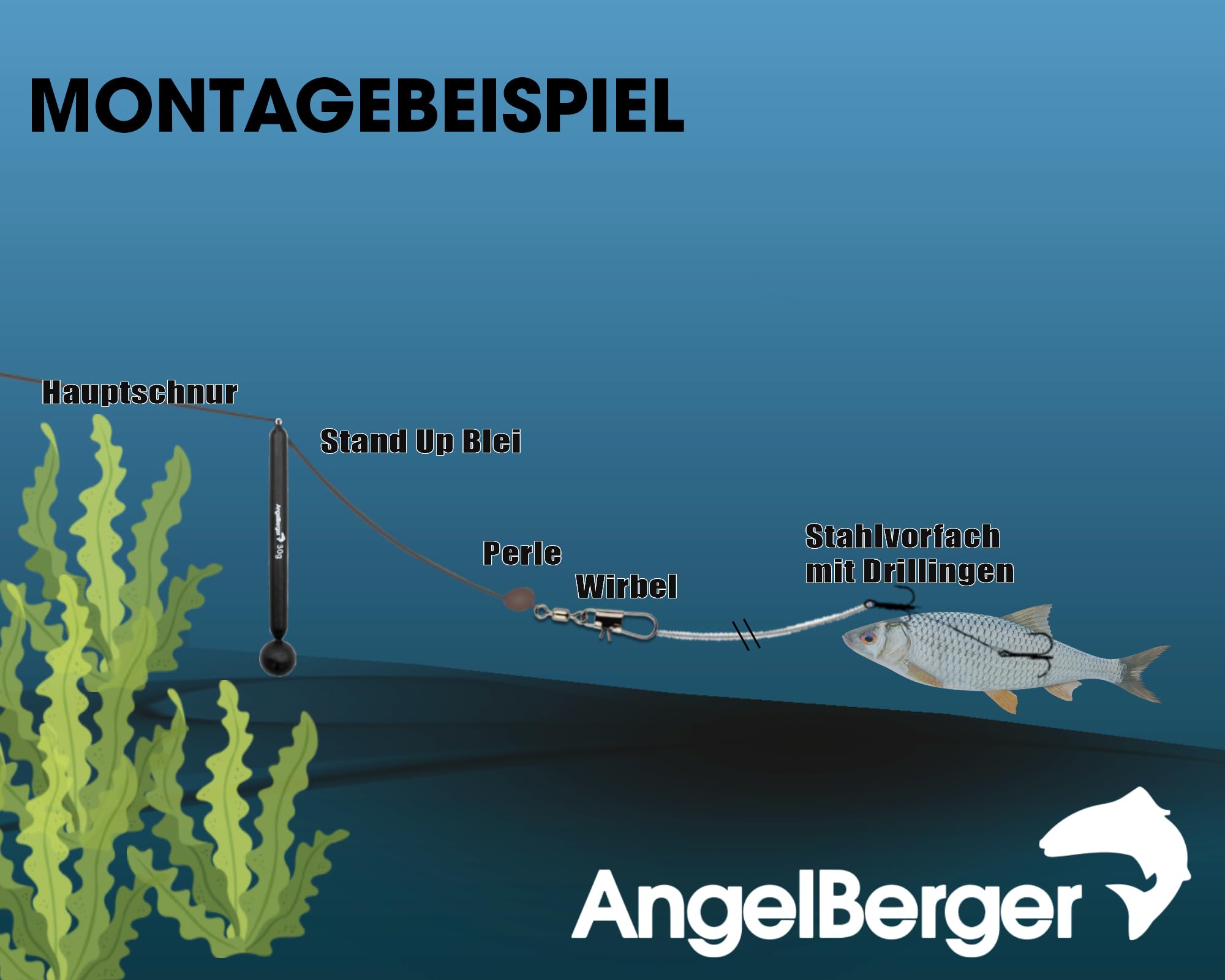 Angel Berger Stehaufblei Stand Up Lead Tiroler Hölzl Bodentaster Grundblei Krautblei Angelblei