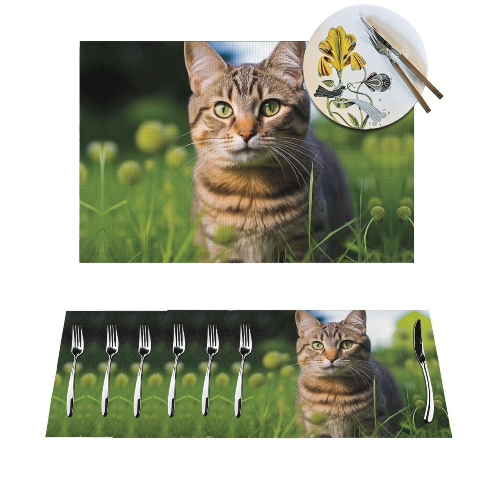Set de table antidérapant lot de 6 pvc lavable chat tigré 45cm