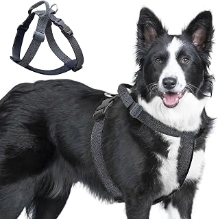 Galaxy Reflective Dog Harness,Adjustable 4-Point Fit,Anti-Pinch Buckles,Back-Clip Control & Emergency Handle,Velvet Lined for Small, Medium and Large Dogs, (Black, M)