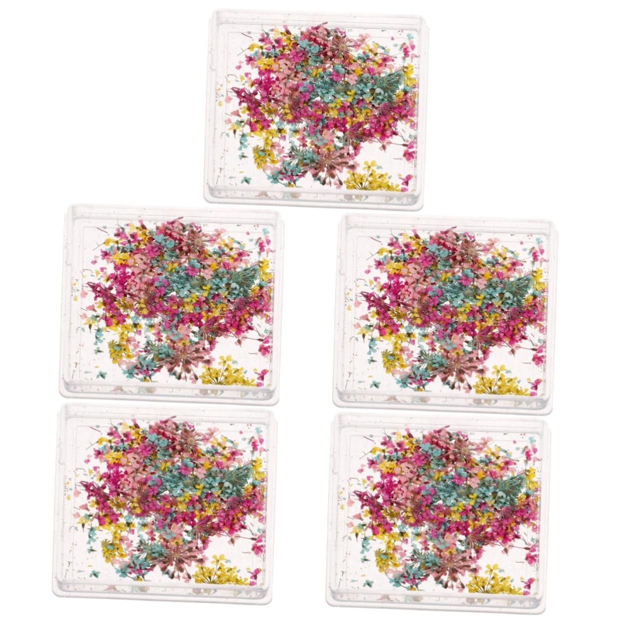 Fleurs Séchées Nail Art Solution Ongles Plats sans Relief 5 Boîtes