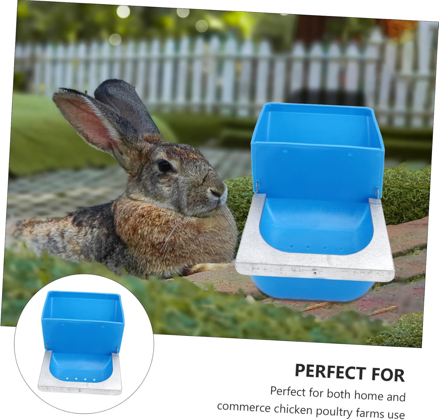 6pcs Large Capacity Food Bowl Poultry Feeder Easy Installation for Cages Random Colors for Chickens and Animals