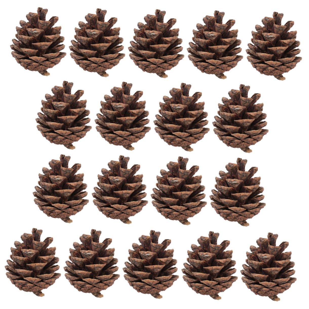 VICASKY 30pezzi Pigne Natalizie Naturali Piccole Pigne per Decorazioni di Natale per Albero di Natale Ornamento di Fai da Te per Inverno