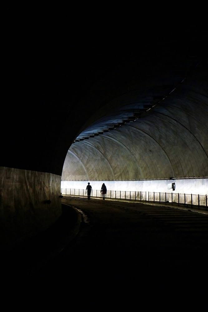 Amazon.co.jp: 廃墟賛歌 廃道ビヨンド Obroad Beyond [DVD