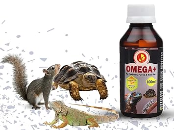 Pet Care International (PCI) Omega+ || Provide Essential Omega and Vitamins || for Healthy Iguana, Gecko and Other Scaly Pets Healthcare (Pack of 2) (100ml x 2)