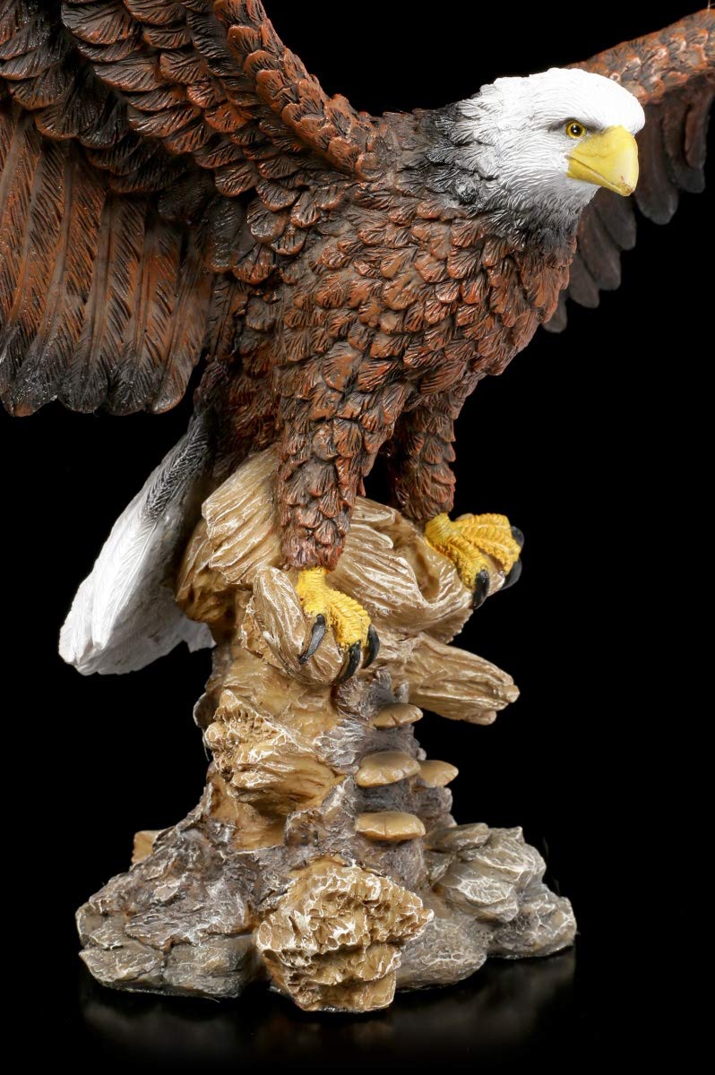Figuren Shop GmbH Weißkopfseeadler mit ausgebreiteten Flügeln 40 cm | Adler-Dekofigur, handbemalt
