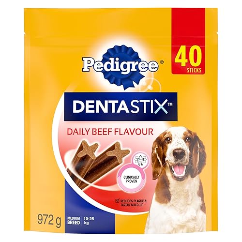 PEDIGREE DENTASTIX Oral Care Beef Flavour Adult Dog Treats - For Medium Breeds - Reduces Plaque and Tartar Buildup - 40 Sticks 972g Pouch - Beef - 40 Count (Pack of 1) - Dog Treats